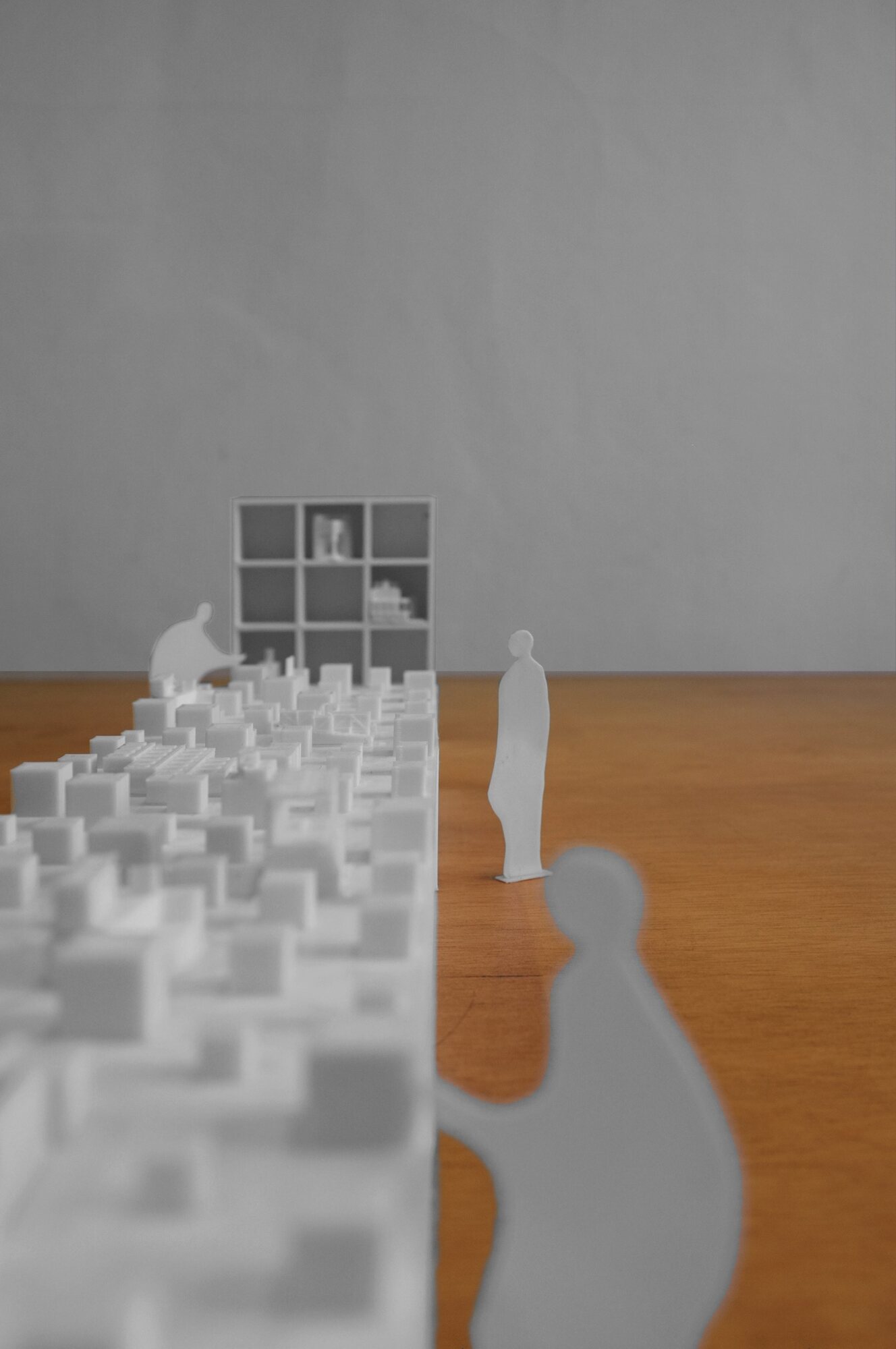 The installation – model